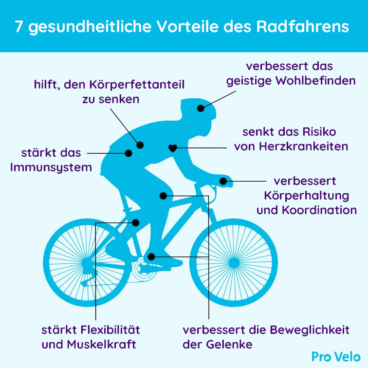 Provelo-schema-deutsch