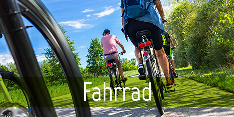 Fahrmit-box-fahrrad-box Fahrrad