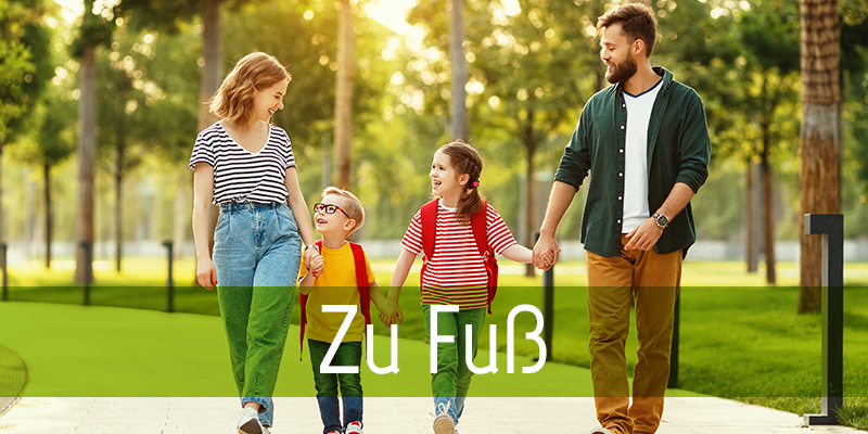Fahrmit-box-fussgaenger Zu Fuß
